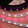 Les nouveaux articles de votre boutique Deco LED Eclairage