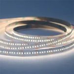 led strip 20m IP20 cw