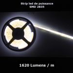 ruban led SMD2835 120 led m 12V 1800 Lumens
