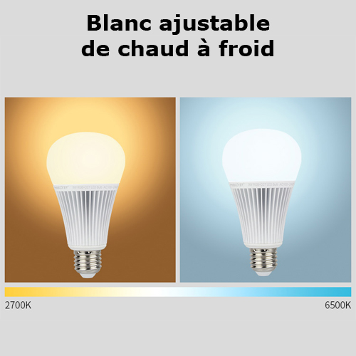 ampoule E27 RGB blanc variable 12W pic3