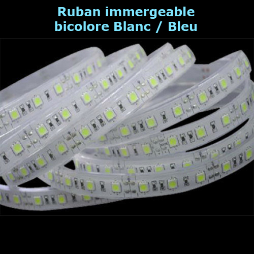 ruban led IP68 bicolore blanc bleu