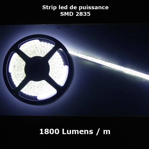 ruban led SMD2835 120 led m blanc froid 1800 Lumens