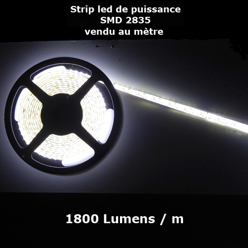 ruban led SMD2835 120 led m vendu au metre