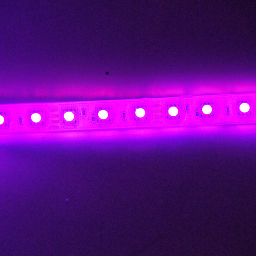 ruban led etanche IP68 gel silicone pic9