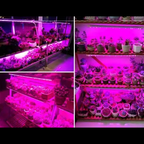 ruban led horticole 4 en 1 ajustable pic4