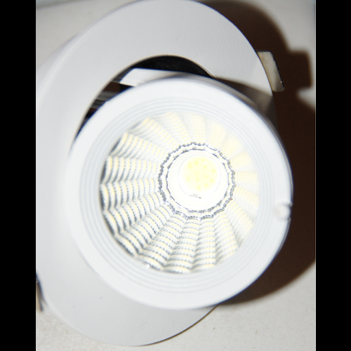 spot led blanc variable 10W pic3