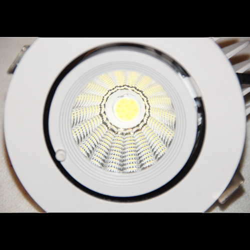 spot led blanc variable 10W pic5