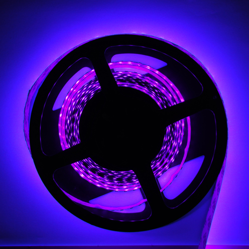 Ruban Led ultraviolet ultra puissant pour lumière noire - 240 Leds/M - Deco  Led Eclairage