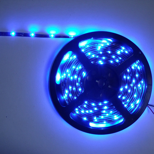 strip led economique blanc bleu 30