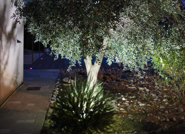 Spot led blanc pour illuminer plantes et arbustes