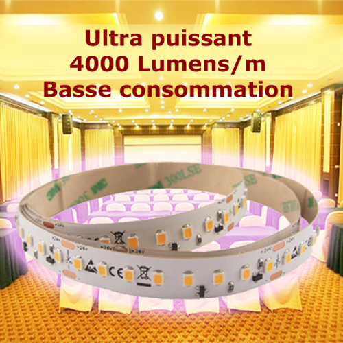 Ruban led basse consommation ultra puissants - 4000 Lumens par mètre