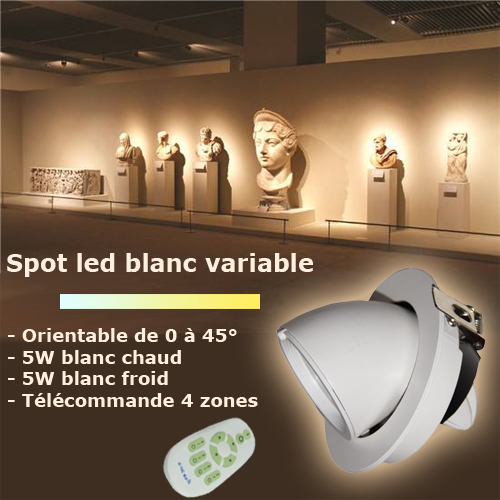 Spot led 10W blanc variable, orientable, dimmable - Deco Led Eclairage